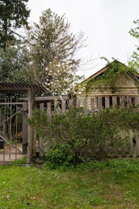 Lakefront Cottage, Salt Spring Island Vesuvius Esterno foto